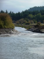 Restoring an Estuary